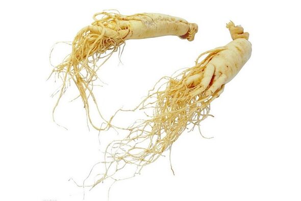 Ginseng root a popular remedy to increase male potency